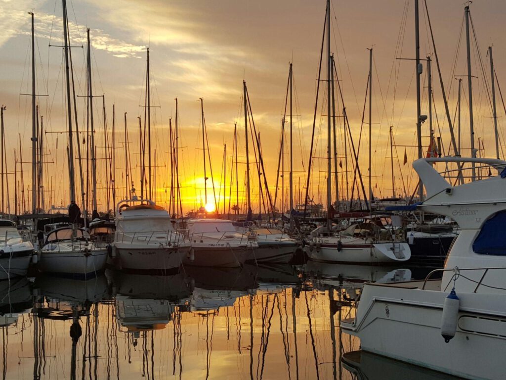 PHOTO 2025 09 02 17 41 53 1024x768